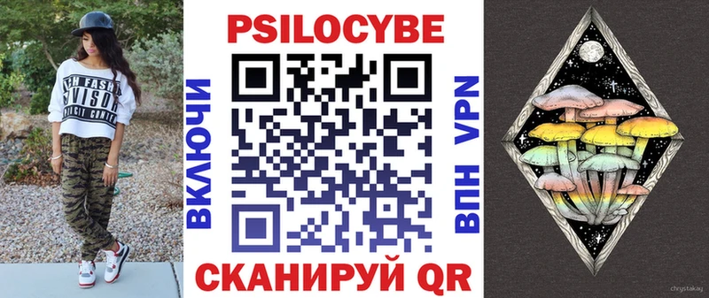 kraken вход  Алзамай  Псилоцибиновые грибы Magic Shrooms  купить закладку 